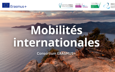 Appel À Manifestation d’Intérêt Mobilités Erasmus + ESS 2023-2024