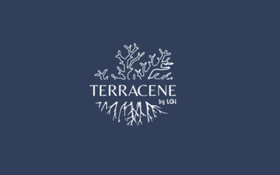Appel à projet – TERRACENE | Date de clôture : 20 mars 2026
