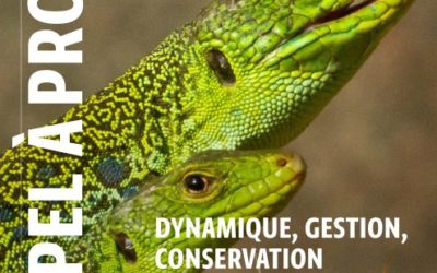 Fondation François Sommer – Appel à projets ” Dynamique, gestion, conservation et réhabilitation de la faune sauvage et de ses habitats » Date de clôture : 01 septembre 2026